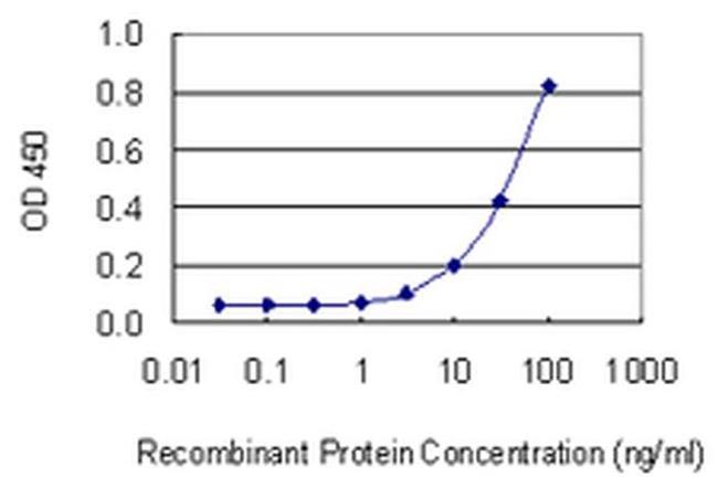 OLFM1 Antibody in ELISA (ELISA)