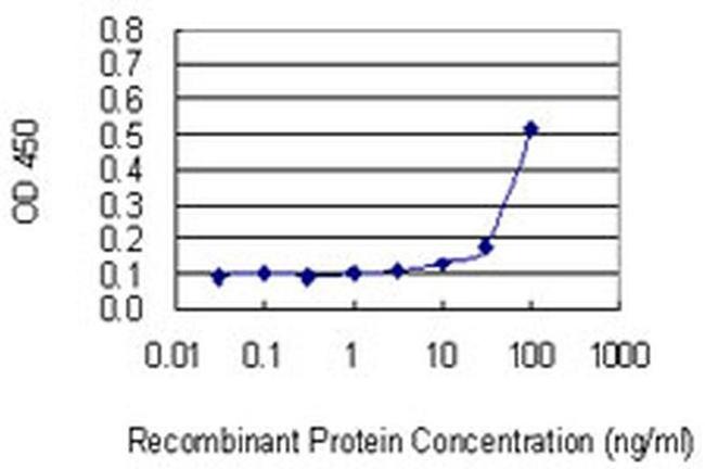 ZNF253 Antibody in ELISA (ELISA)