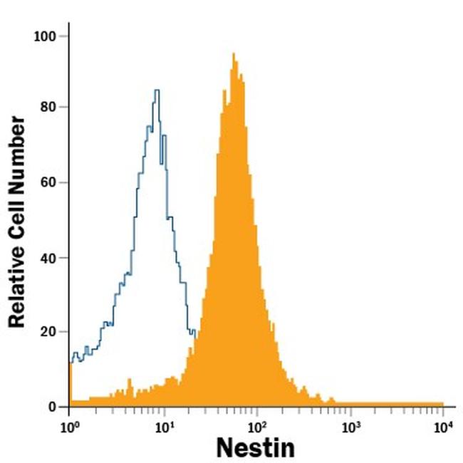 Nestin Antibody in Flow Cytometry (Flow)