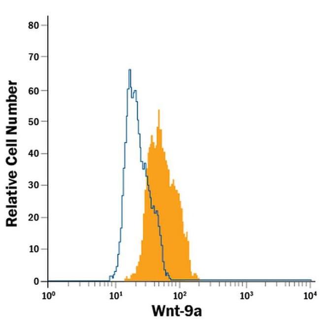 WNT9A Antibody in Flow Cytometry (Flow)