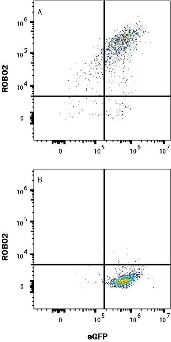 ROBO2 Antibody in Flow Cytometry (Flow)