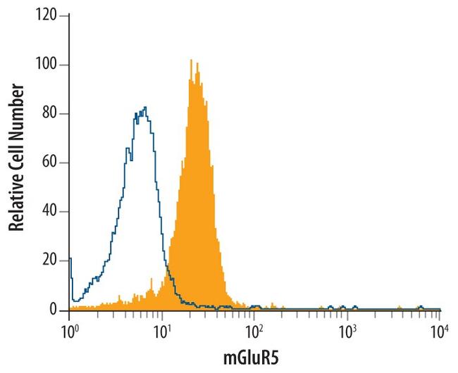 mGluR5 Antibody in Flow Cytometry (Flow)