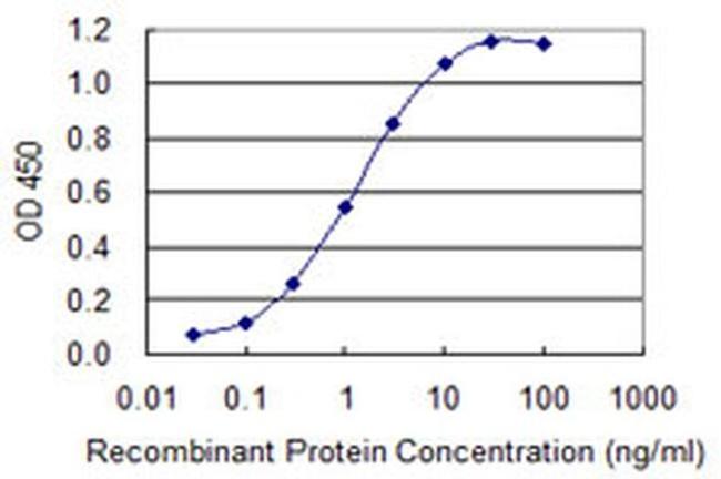 ZAN Antibody in ELISA (ELISA)