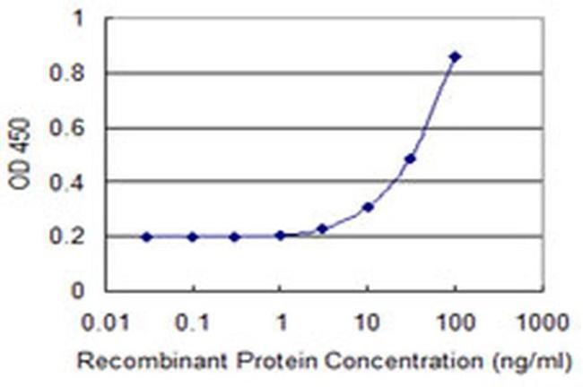 MTRF1 Antibody in ELISA (ELISA)