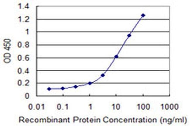 POP7 Antibody in ELISA (ELISA)