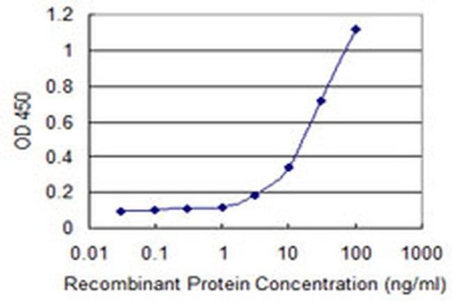 RCAN1 Antibody in ELISA (ELISA)