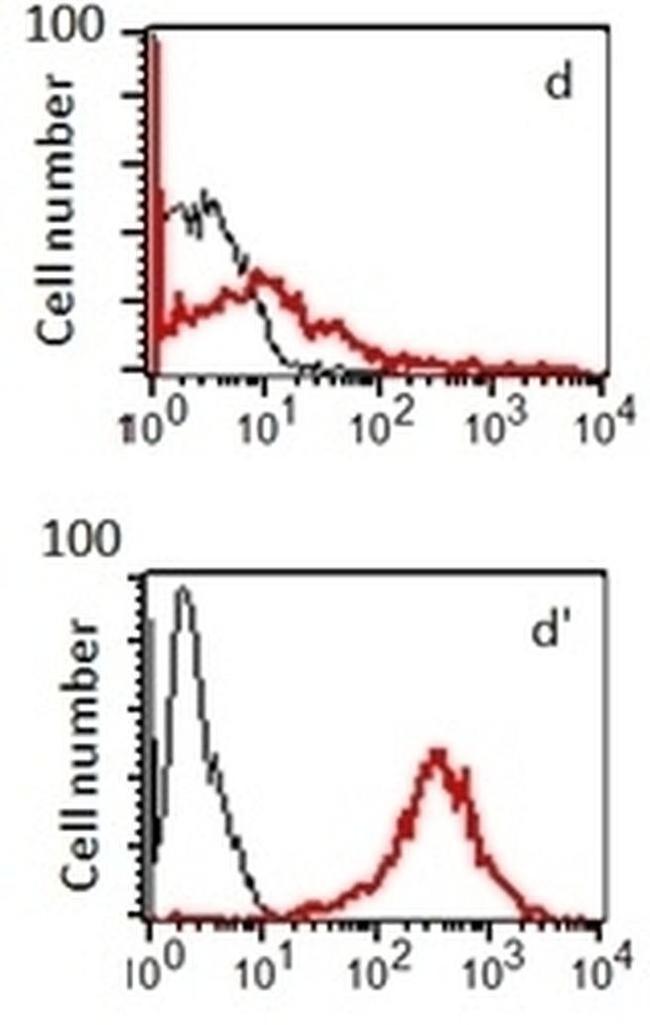 S1P1 Antibody in Flow Cytometry (Flow)