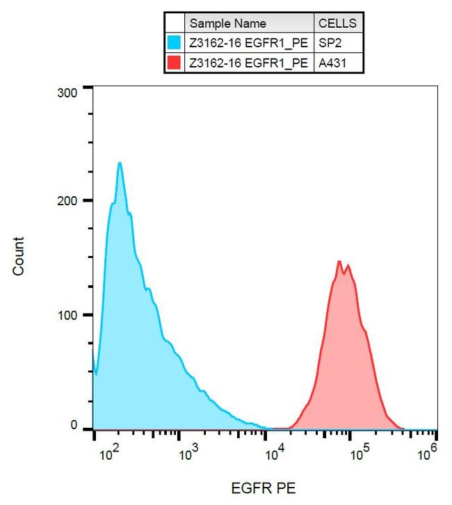 EGFR Antibody in Flow Cytometry (Flow)