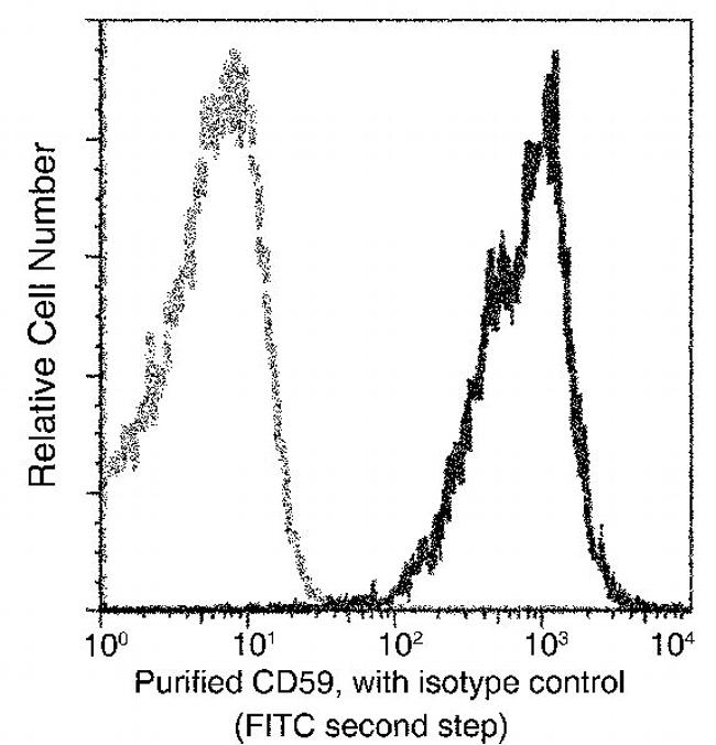 CD59 Antibody in Flow Cytometry (Flow)