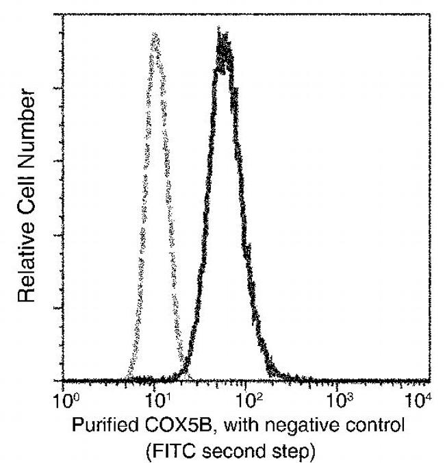 COX5B Antibody in Flow Cytometry (Flow)