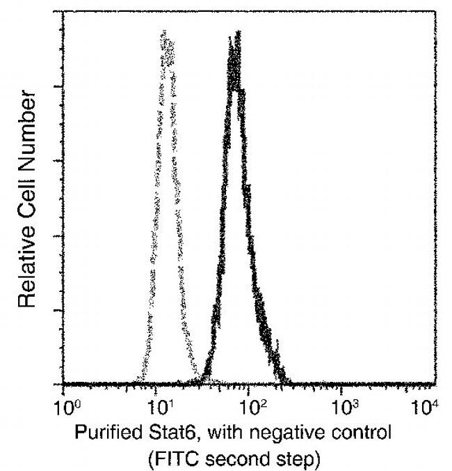 STAT6 Antibody in Flow Cytometry (Flow)