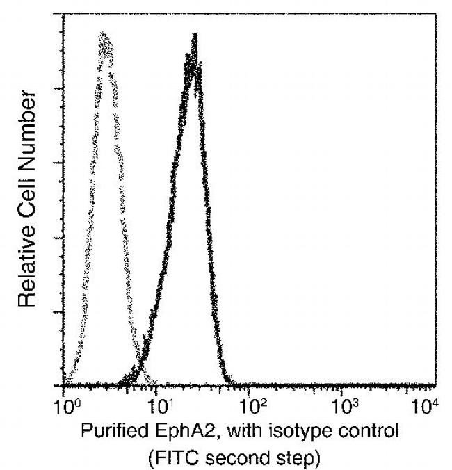 EphA2 Antibody in Flow Cytometry (Flow)