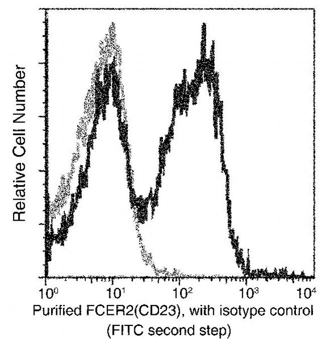 CD23 Antibody in Flow Cytometry (Flow)