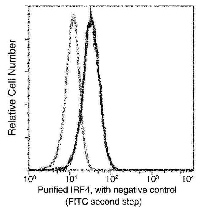 IRF4 Antibody in Flow Cytometry (Flow)