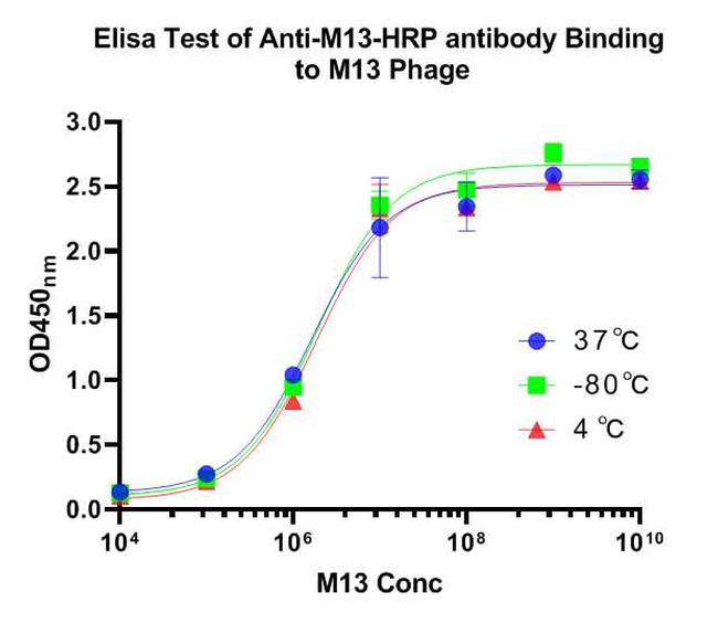 M13 phage coat protein Antibody in ELISA (ELISA)