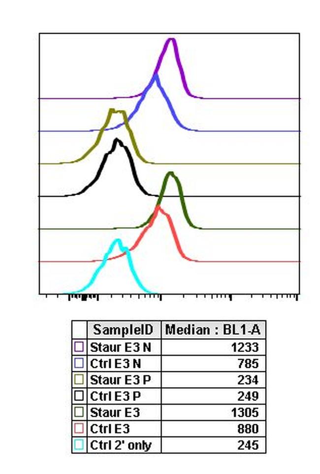 Phospho-p38 MAPK alpha (Thr180, Tyr182) Antibody in Flow Cytometry (Flow)