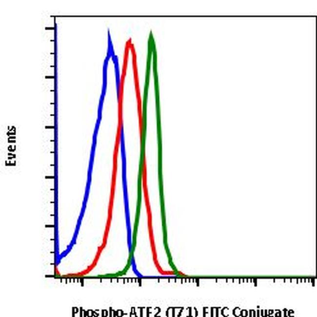 Phospho-ATF2 (Thr71) Antibody in Flow Cytometry (Flow)