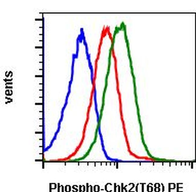 Phospho-Chk2 (Thr68) Antibody in Flow Cytometry (Flow)