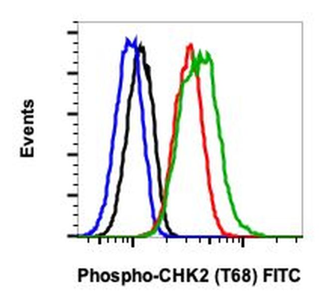 Phospho-Chk2 (Thr68) Antibody in Flow Cytometry (Flow)