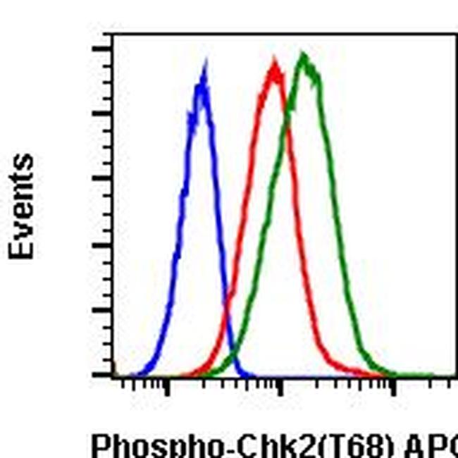 Phospho-Chk2 (Thr68) Antibody in Flow Cytometry (Flow)