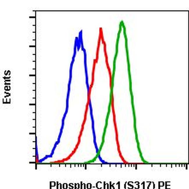 Phospho-Chk1 (Ser317) Antibody in Flow Cytometry (Flow)