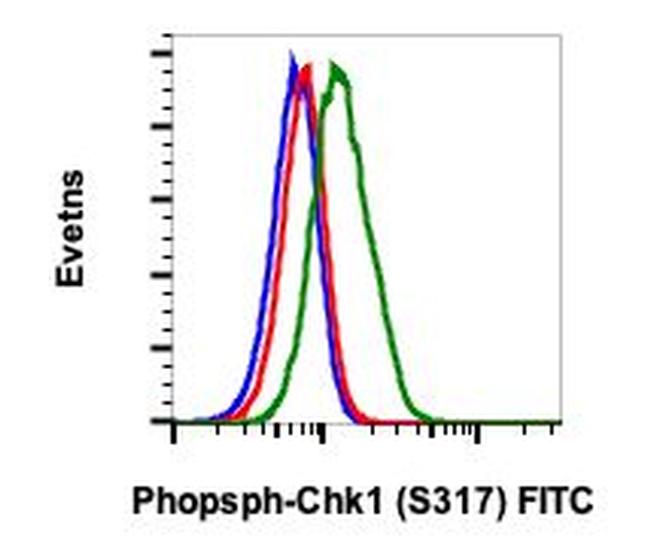 Phospho-Chk1 (Ser317) Antibody in Flow Cytometry (Flow)