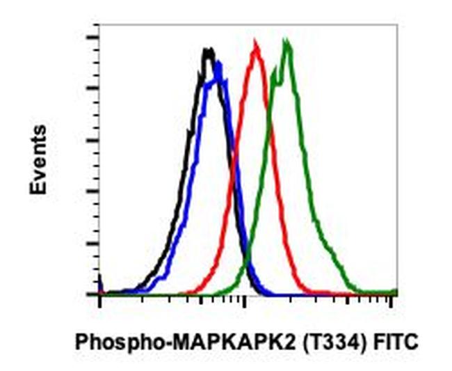 Phospho-MAPKAPK2 (Thr334) Antibody in Flow Cytometry (Flow)