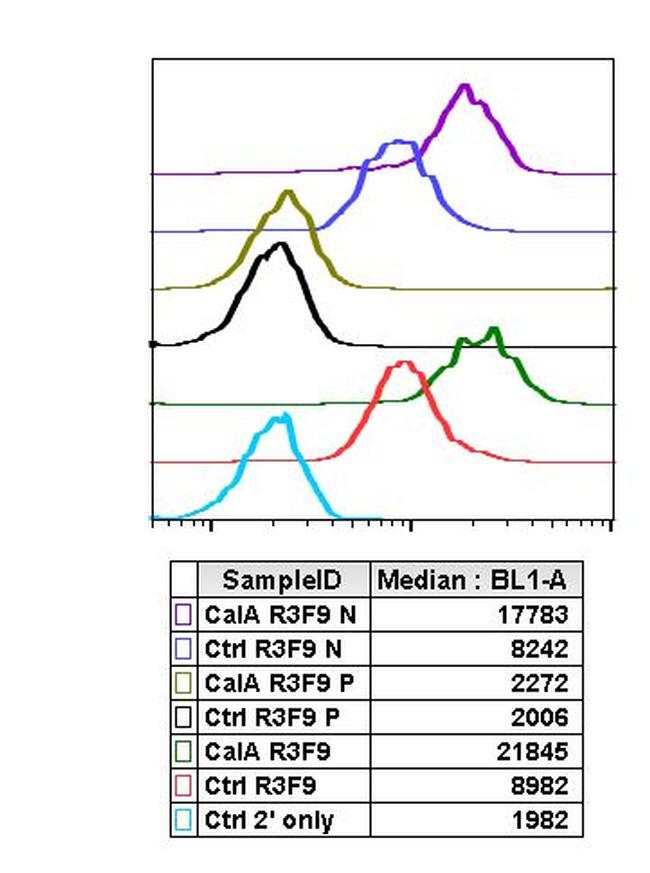 Phospho-Chk1 (Ser345) Antibody in Flow Cytometry (Flow)