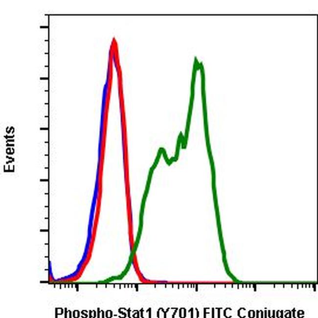 Phospho-Stat1 (Tyr701) Antibody in Flow Cytometry (Flow)