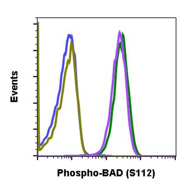 Phospho-BAD (Ser112) Antibody in Flow Cytometry (Flow)