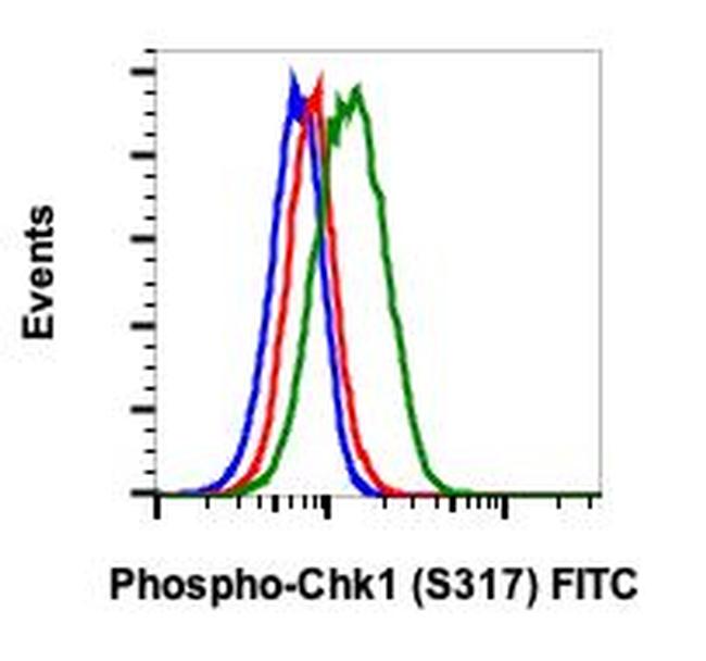 Phospho-Chk1 (Ser317) Antibody in Flow Cytometry (Flow)