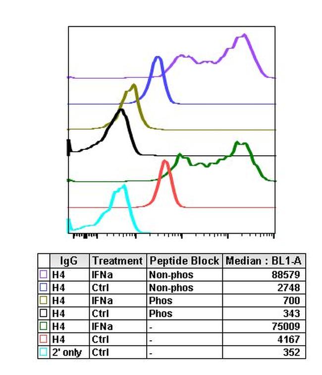 Phospho-BLNK (Tyr84) Antibody in Flow Cytometry (Flow)