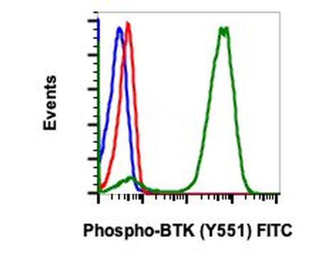 Phospho-Btk (Tyr551) Antibody in Flow Cytometry (Flow)