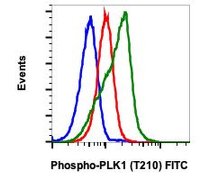 Phospho-PLK1 (Thr210) Antibody in Flow Cytometry (Flow)