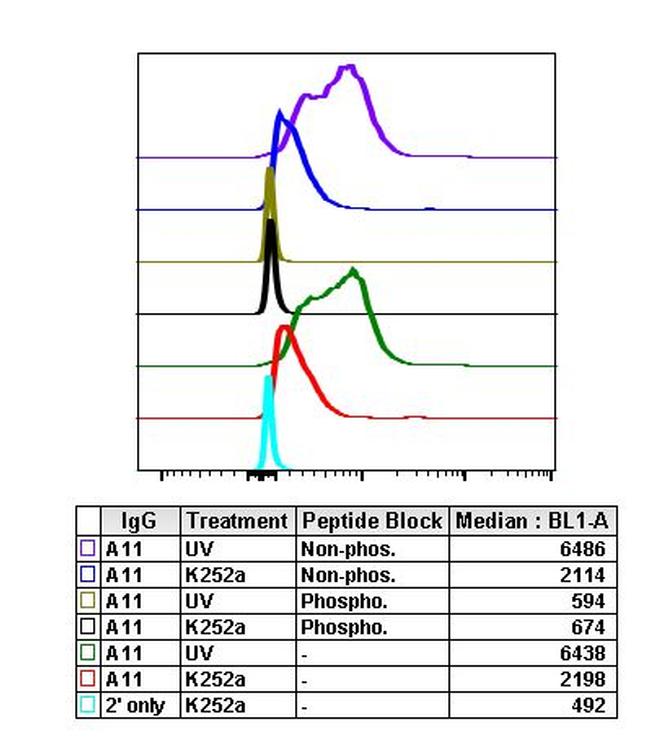 Phospho-MAPK9 (Thr183, Tyr185) Antibody in Flow Cytometry (Flow)