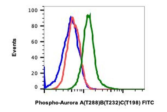 Phospho-Aurora A/B/C (Thr288, Thr232, Thr198) Antibody in Flow Cytometry (Flow)