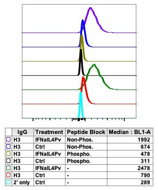 Phospho-NFkB p65 (Ser529) Antibody in Flow Cytometry (Flow)