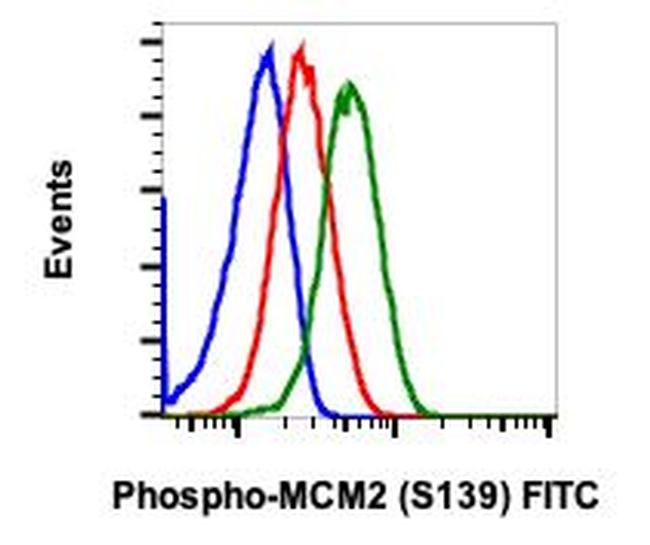 Phospho-MCM2 (Ser139) Antibody in Flow Cytometry (Flow)