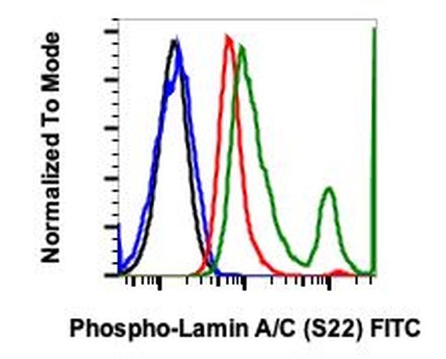 Phospho-Lamin A/C (Ser22) Antibody in Flow Cytometry (Flow)