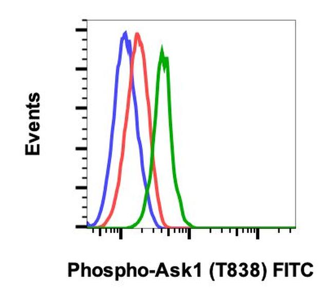 Phospho-Ask1 (Thr838) Antibody in Flow Cytometry (Flow)