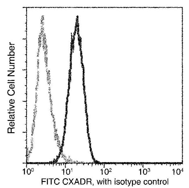 CAR Antibody in Flow Cytometry (Flow)