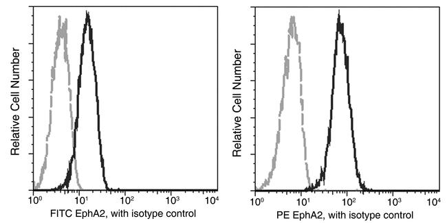 EphA2 Antibody in Flow Cytometry (Flow)