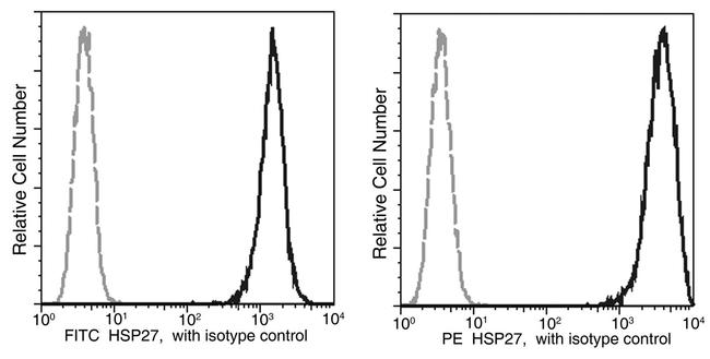 HSP27 Antibody in Flow Cytometry (Flow)