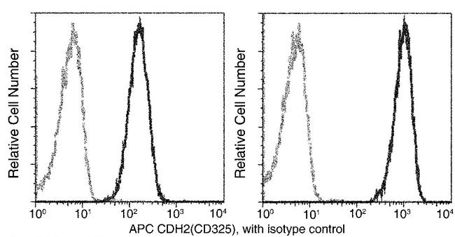 N-cadherin Antibody in Flow Cytometry (Flow)