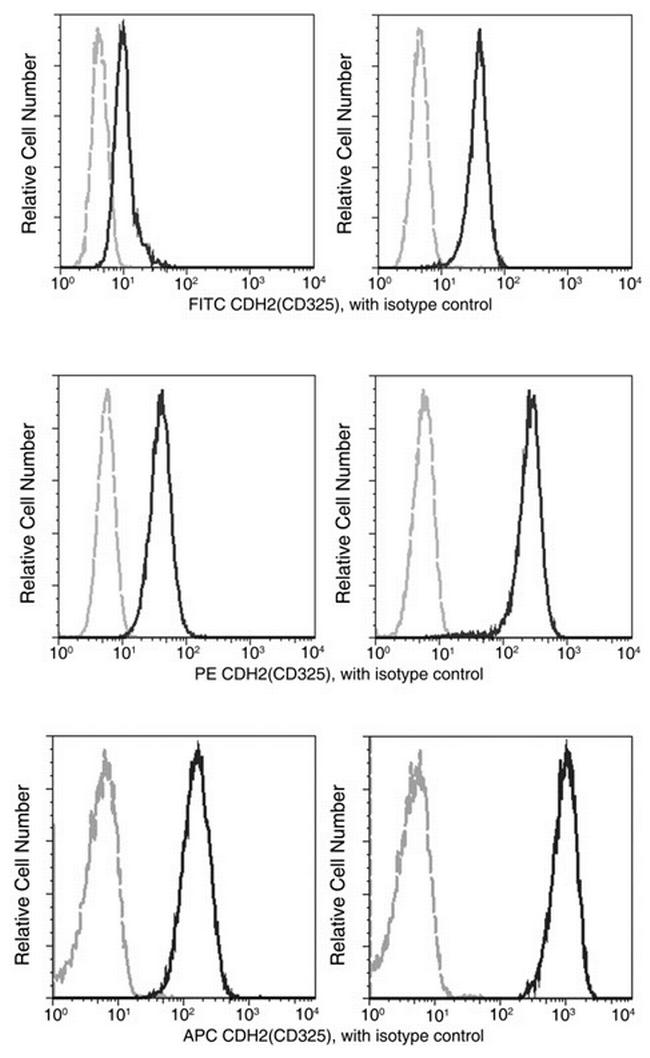 N-cadherin Antibody in Flow Cytometry (Flow)