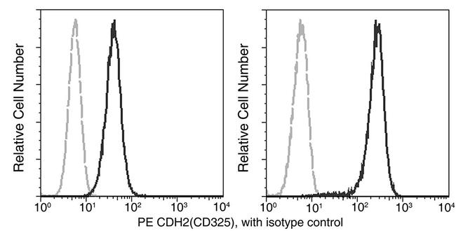 N-cadherin Antibody in Flow Cytometry (Flow)