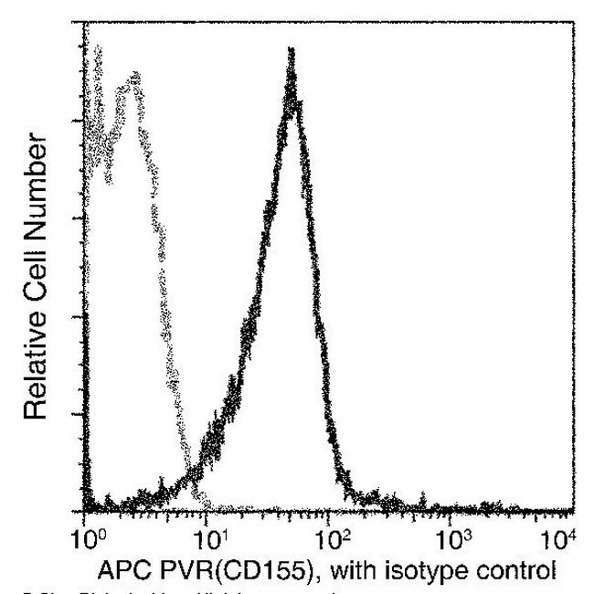 CD155 Antibody in Flow Cytometry (Flow)