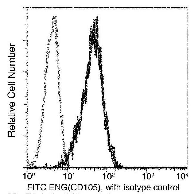 CD105 Antibody in Flow Cytometry (Flow)