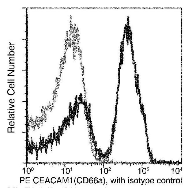 CEACAM1 Antibody in Flow Cytometry (Flow)