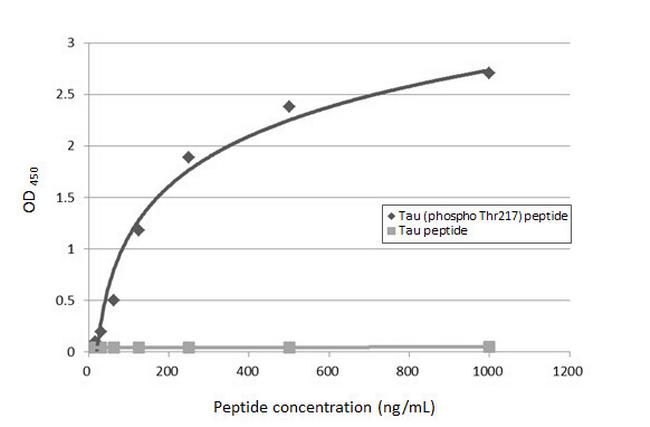 Phospho-Tau (Thr217) Antibody in ELISA (ELISA)